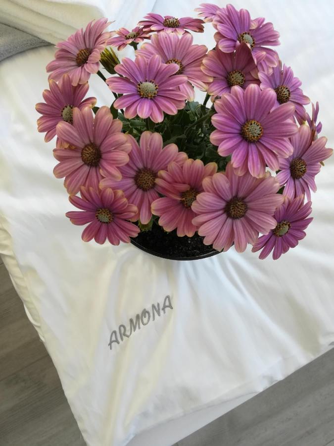 Armona Daire Ustka Dış mekan fotoğraf